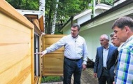 Виктор Янукович спит с пчелами