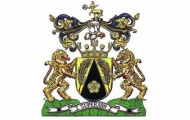 Виктору Януковичу подправят его корону