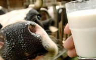 Россия активизирует экономическую войну с Украиной