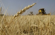 Урожайные перспективы Украины