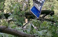 Ураган в Луганске срывал крыши с домов и с конем вырывал деревья