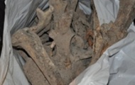 В штольнях Крымского музея найдены мешки с человеческими костями