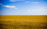 Львовяне и дончане вместе за языковую солидарность