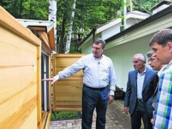 Виктор Янукович спит с пчелами Виктор Янукович спит с пчелами