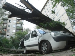 Ураган в Киеве: повреждения, жертвы, последствия