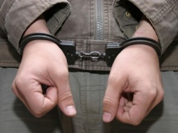 Внук, скормивший труп родной бабушки собакам, осужден на 8 лет Внук, скормивший труп родной бабушки собакам, осужден на 8 лет