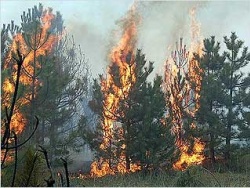 Украине угрожают пожары