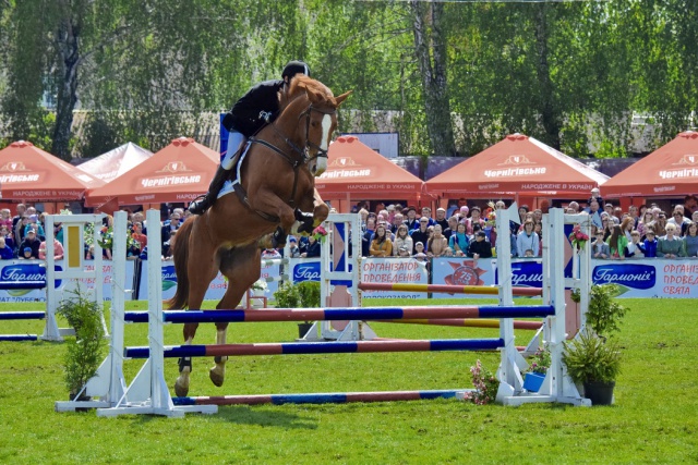 dsc_1538.jpg