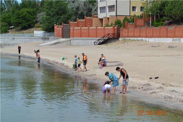 Мор рыбы на Азовском море